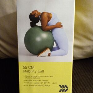 All in Motion Stability Ball